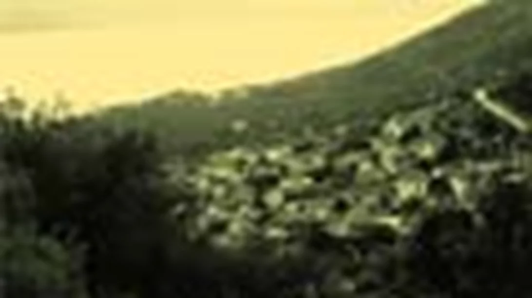 ΟΡΕΙΝΑ ΜΕΘΑΝΑ