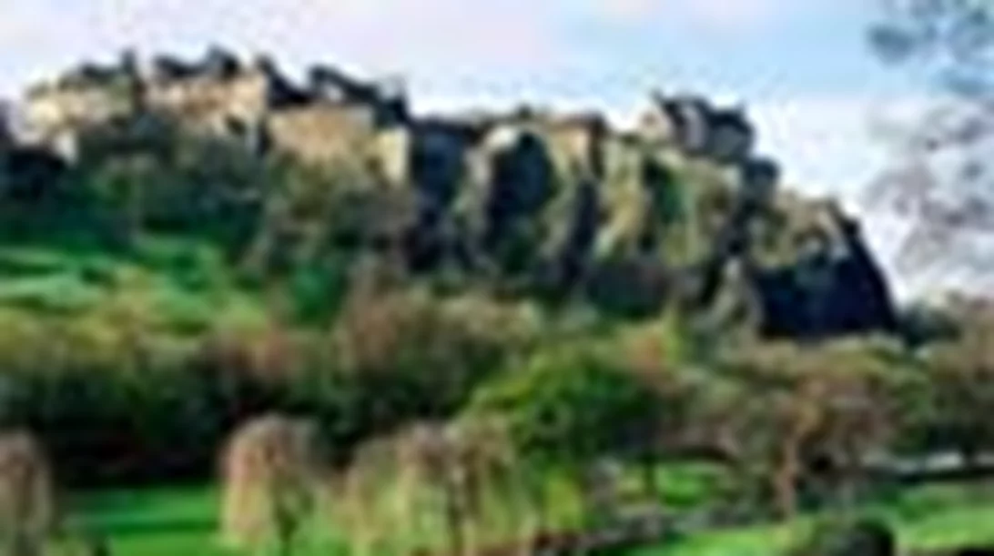 travelling &…drinking