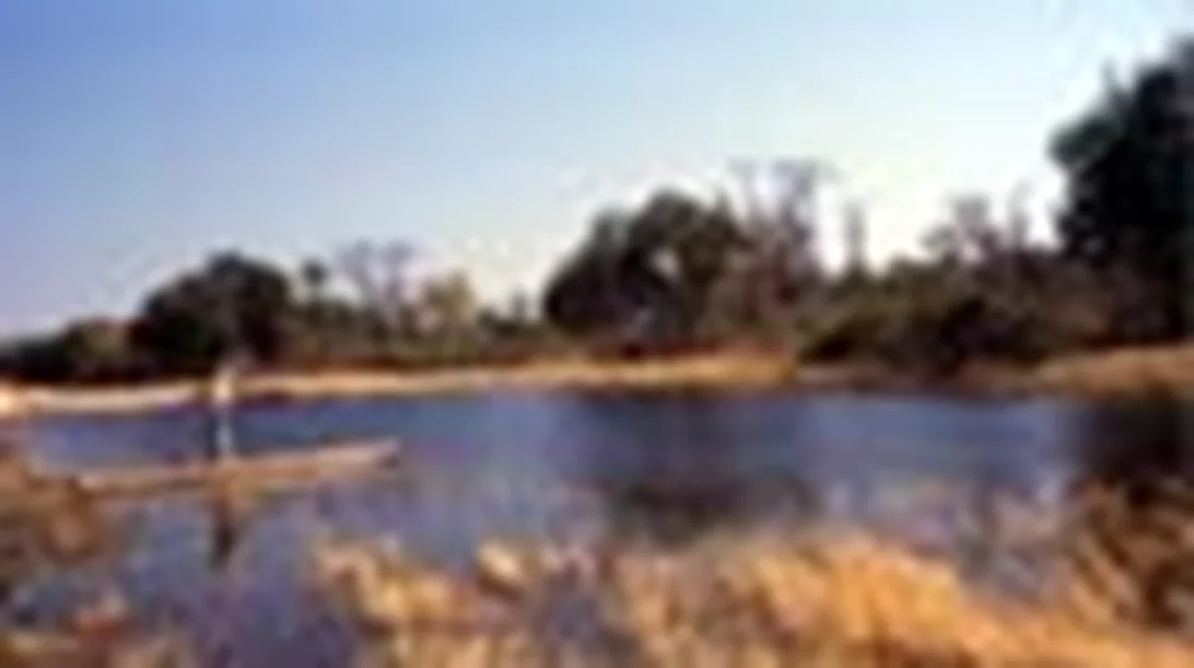 Δέλτα του Oκαβάγκο