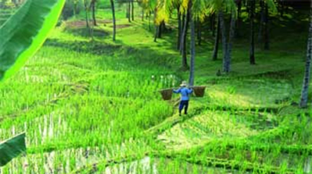 Chiang Rai - Koh Lanta