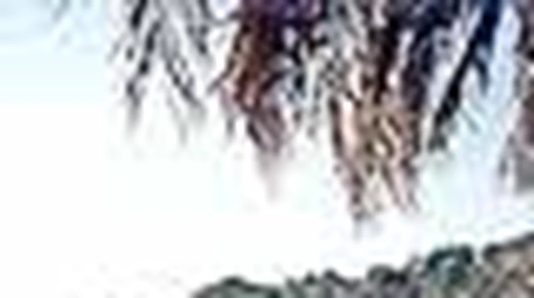 ΣΤΑ ΠΑΡΑΛΙΑ ΤΗΣ ΗΛΕΙΑΣ