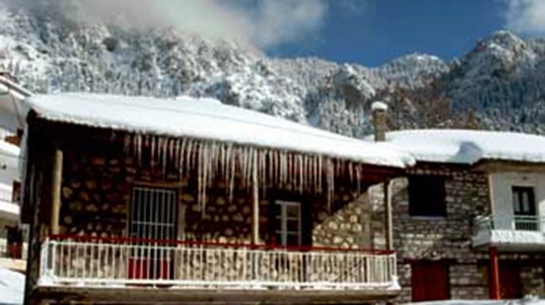 Ελάτη - Περτούλι