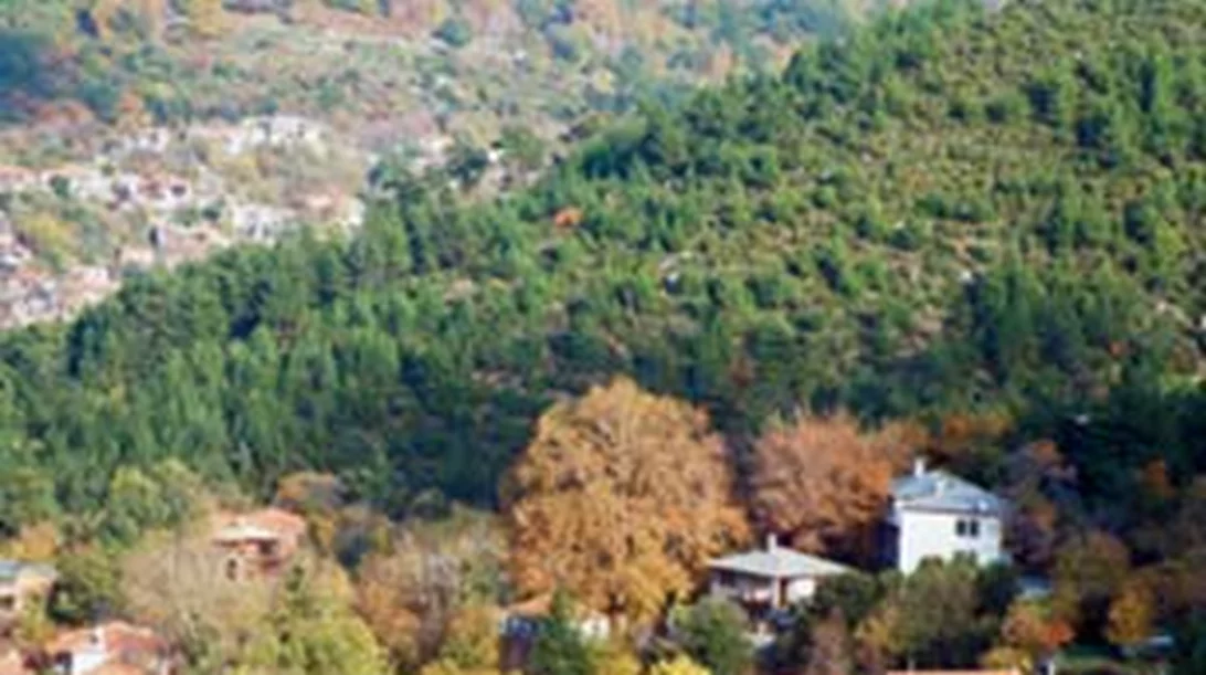 Καζαβiτι Θάσου