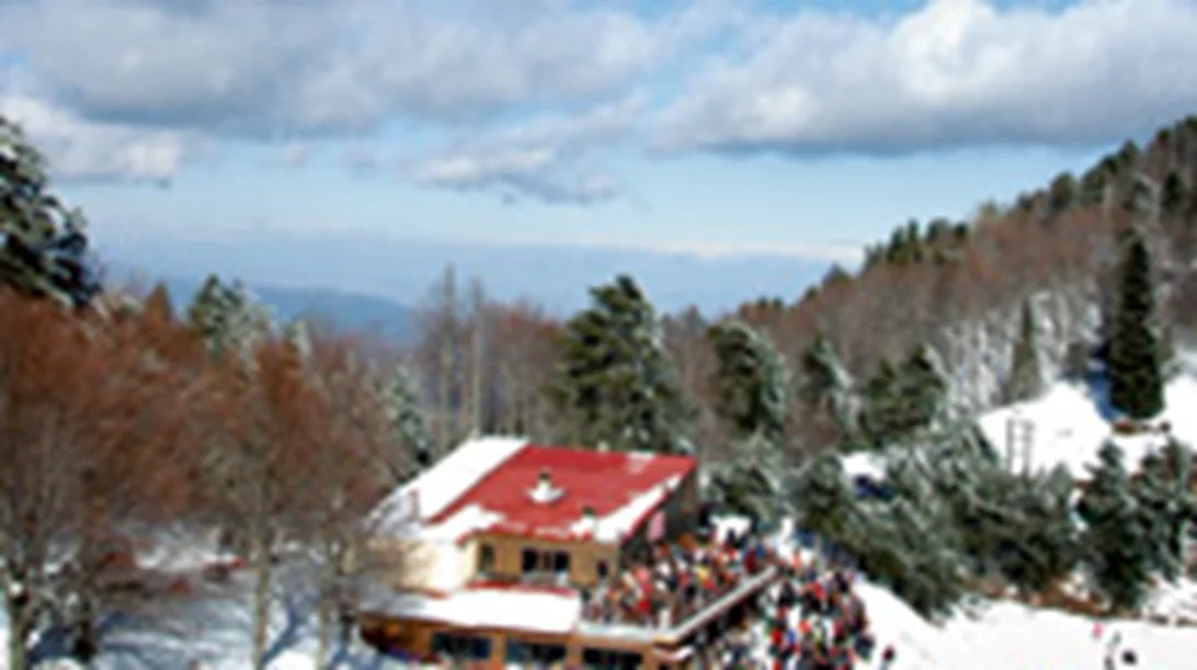 Ελατοχώρι update