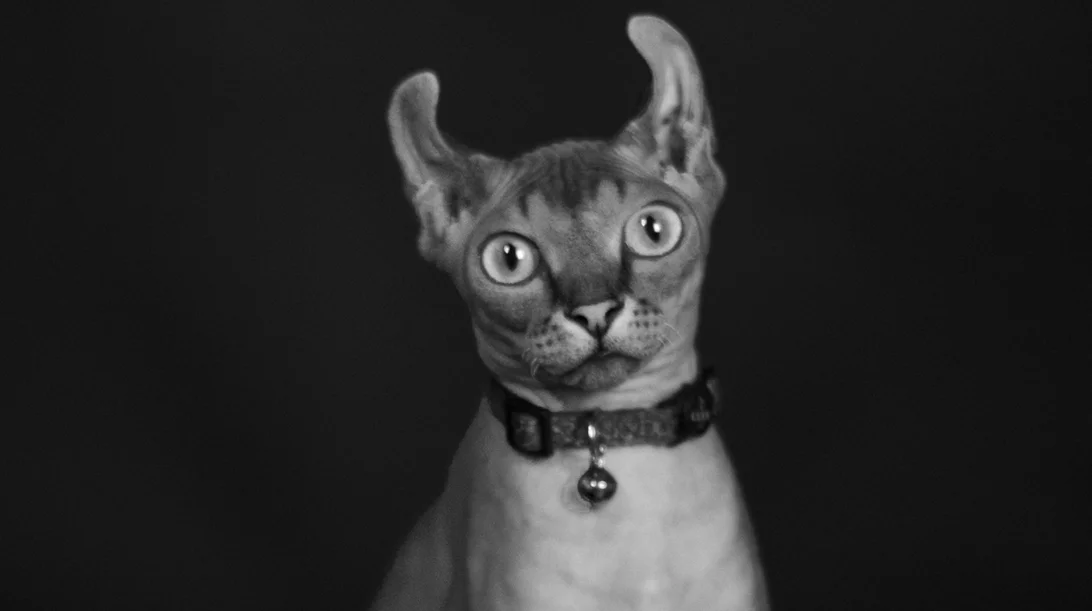 Για τον Θάνο Λεβέντη, τελικά αυτό που μένει είναι η "αλήθεια υπό το 0"