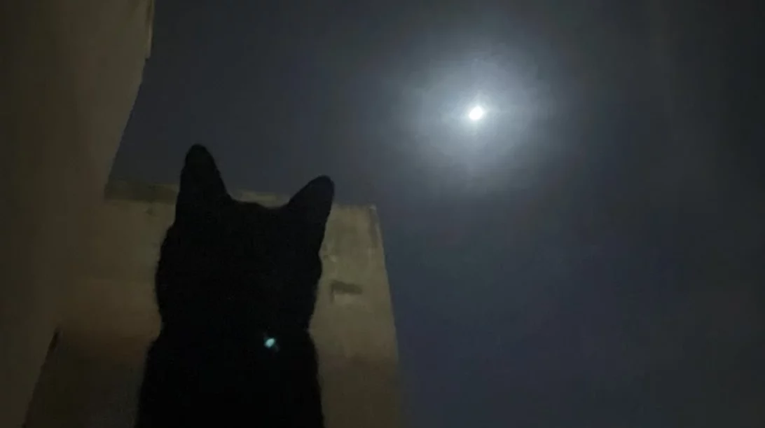 Advent calendar 19/12: Μία "Silent night" σε μία silent οδό