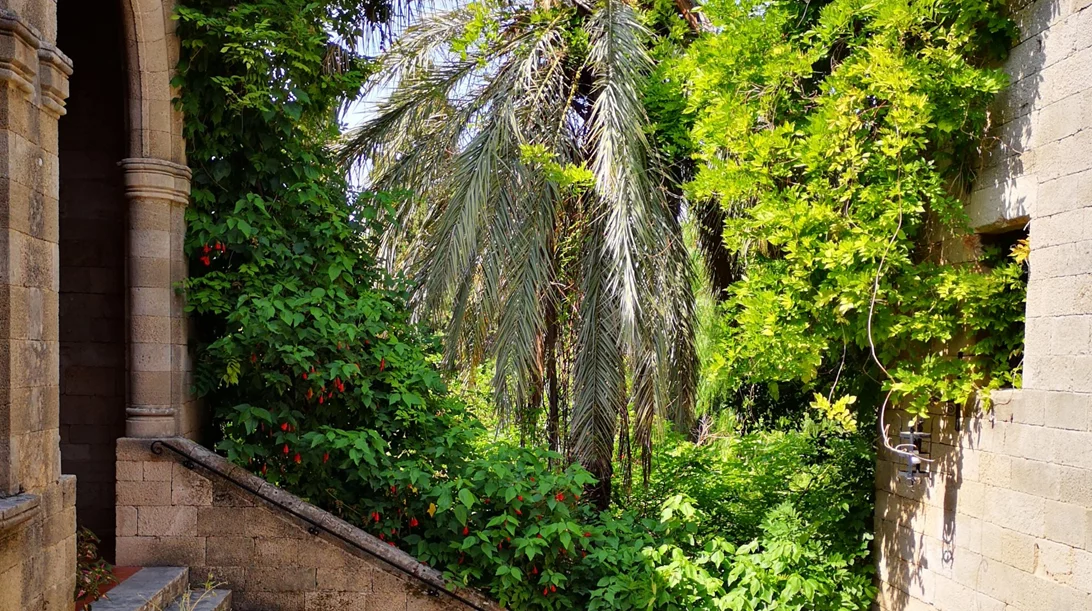 Γαλλικό Ινστιτούτο: Πρόσκληση συμμετοχής για καλλιτεχνική διαμονή στο Κατάλυμα της Γαλλίας στη Ρόδο