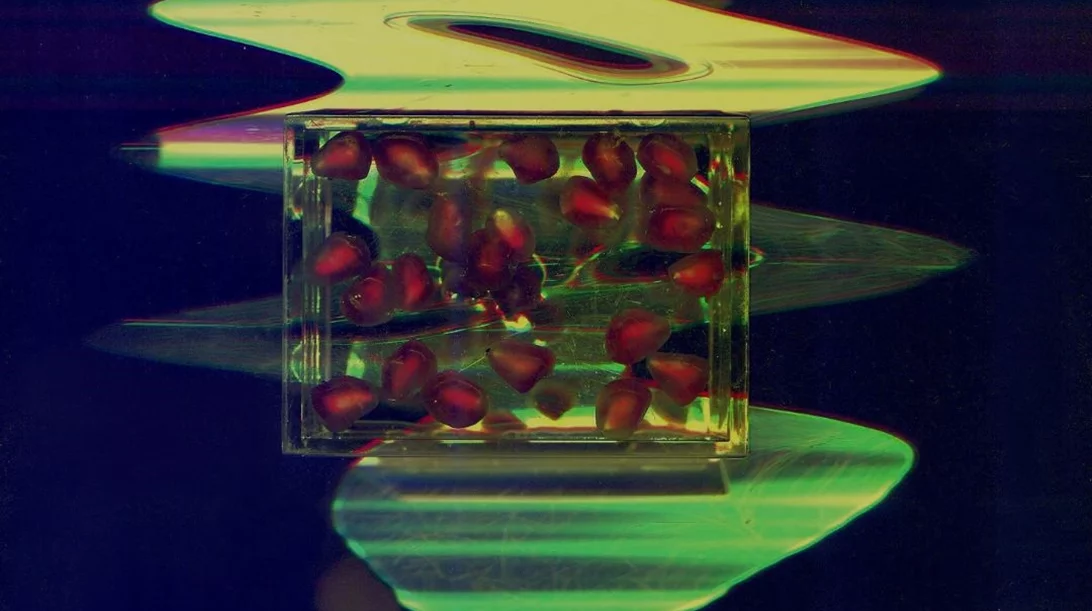 "Για πολλά χρόνια κοιμόμουν νωρίς": Η Νάνα Σαχίνη σε ένα βιωματικό workshop-ταξίδι στη μνήμη της παιδικής ηλικίας