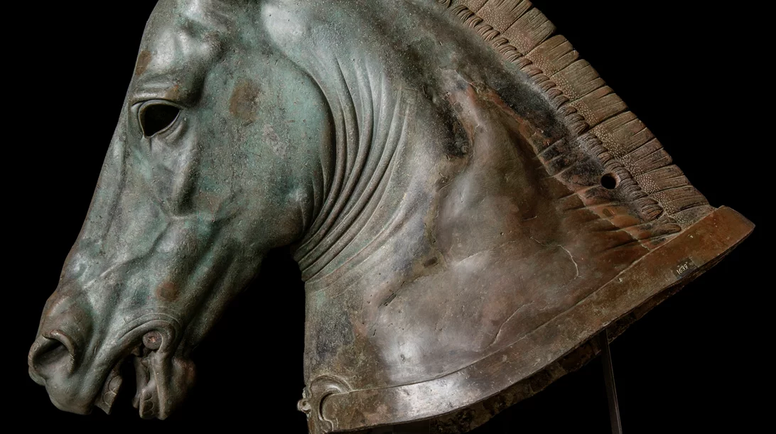 "Ίππος: Το Άλογο στην Αρχαία Αθήνα": Η νέα έκθεση της Αμερικανικής Σχολής καλπάζει με χάρη