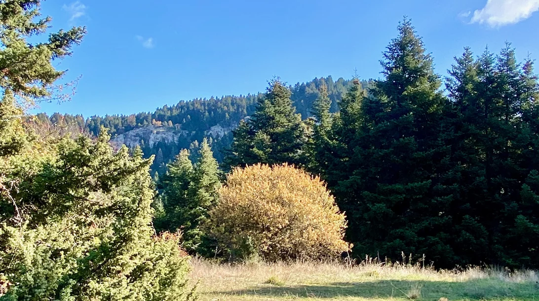 Περίπατοι και γεύσεις στα υπέροχα χωριά του Μαινάλου