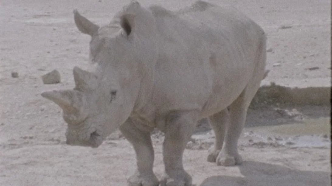 "ΦΑΤ & ΘΙΝ": Μια περφόρμανς με αφορμή το πρότζεκτ "Μεταμορφώσεις"