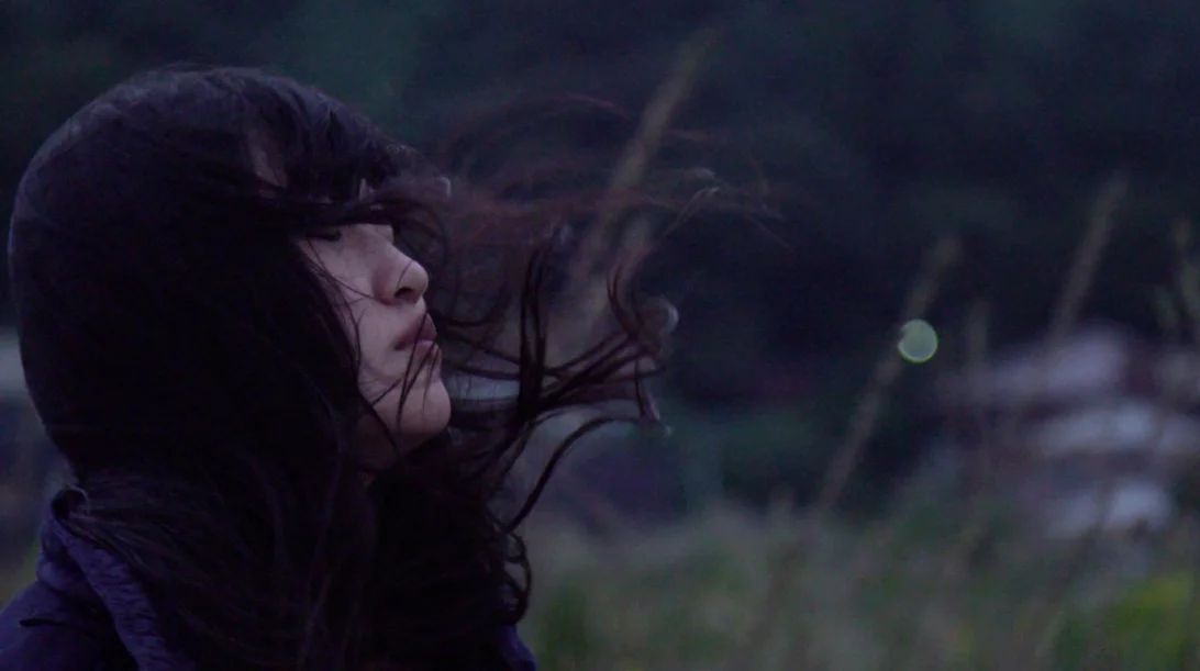 Φαντάσματα, ιρλανδικές παμπ και πολιτική στο 14o Ethnofest