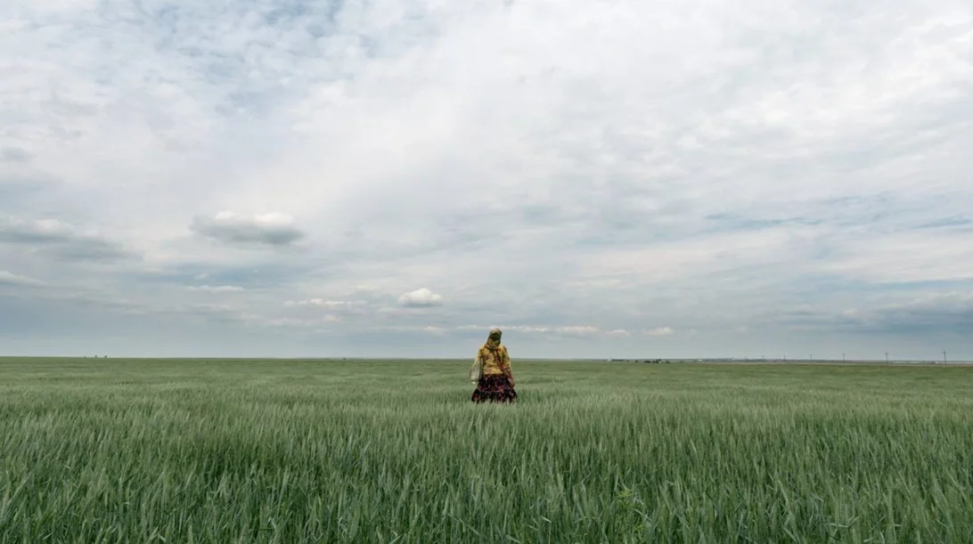 Οι 32 ταινίες που διεκδικούν βραβεία στο 25ο Φεστιβάλ Ντοκιμαντέρ Θεσσαλονίκης