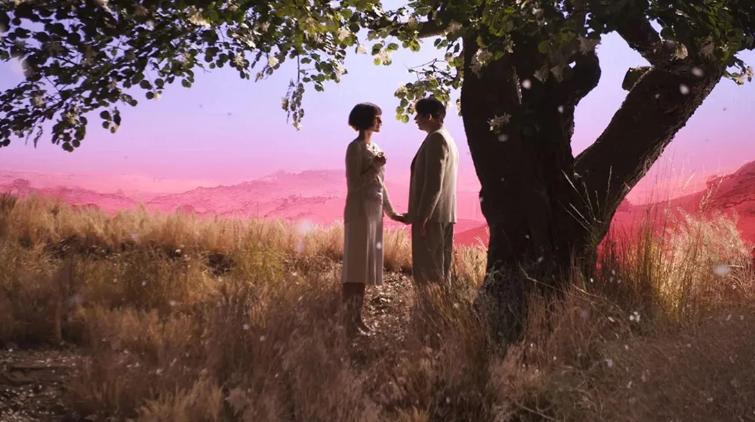 Κοτόπουλο με Δαμάσκηνα