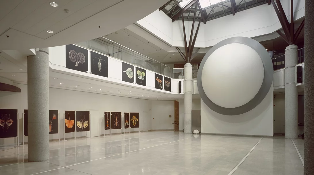 Το Μουσείο Γουλανδρή συζητά για τη σεισμική και ηφαιστειακή δραστηριότητα στη Σαντορίνη