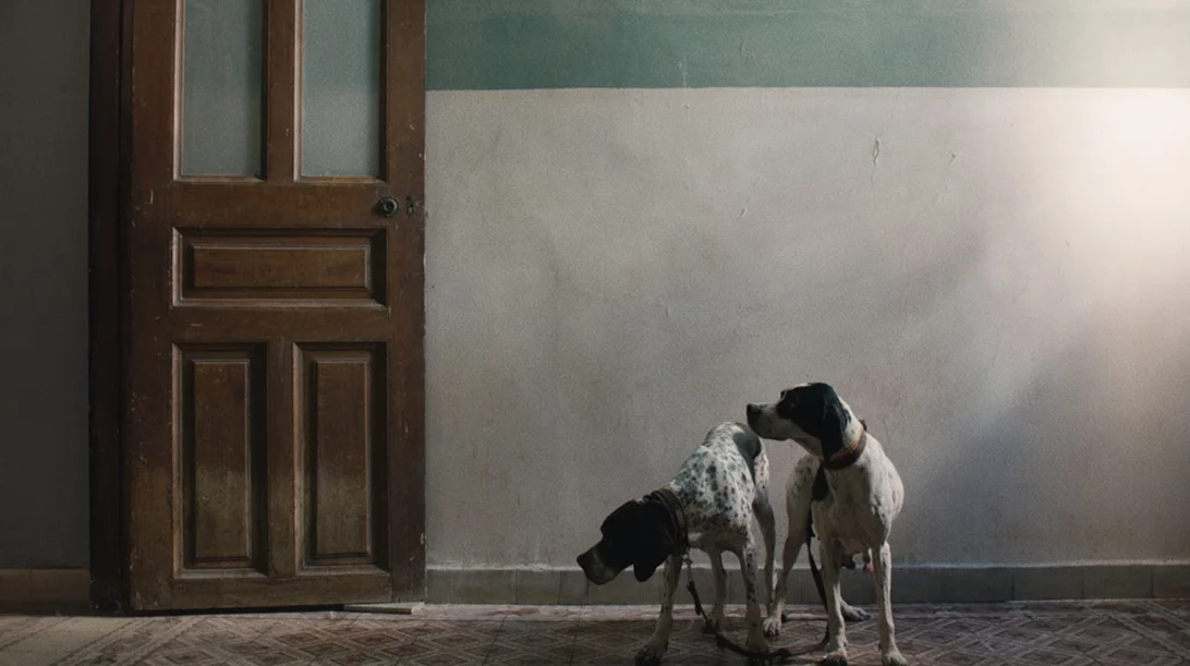 Ένας νέος χώρος τέχνης φιλοξενεί την πρώτη ατομική έκθεση της Janis Rafa στην Ελλάδα