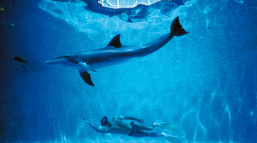 Ένα κινηματογραφικό φεστιβάλ για τους ωκεανούς στο Μέγαρο Μουσικής