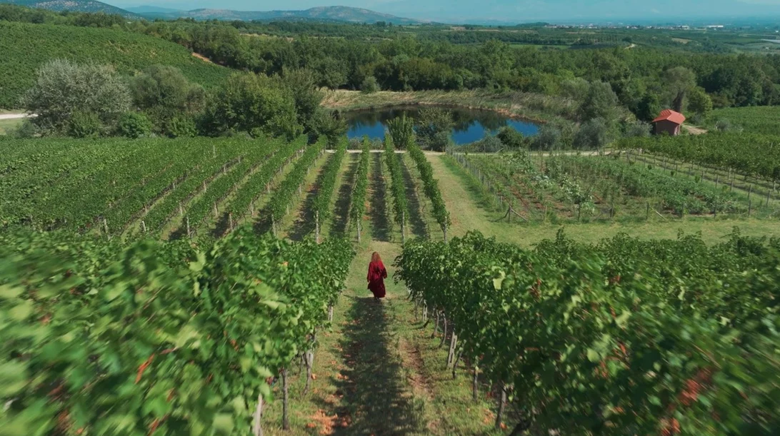 "Οίνος": Ένα ντοκιμαντέρ για το ελληνικό κρασί