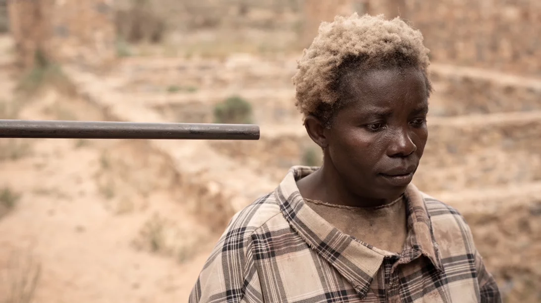 Η Επιβίωση της Ευγένειας