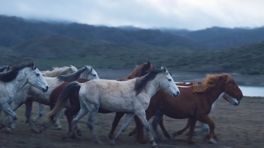 Η νέα μικρού μήκους του Νεριτάν Ζιντζιρία πάει Raindance