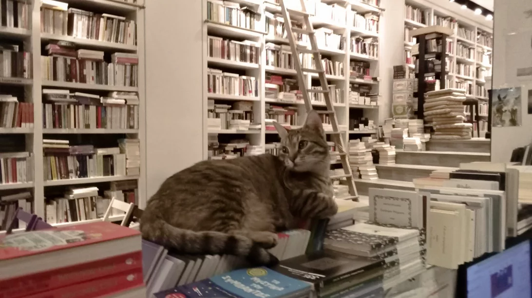 Κλείνει το βιβλιοπωλείο Επί Λέξει - και δεν σοκάρεται κανείς