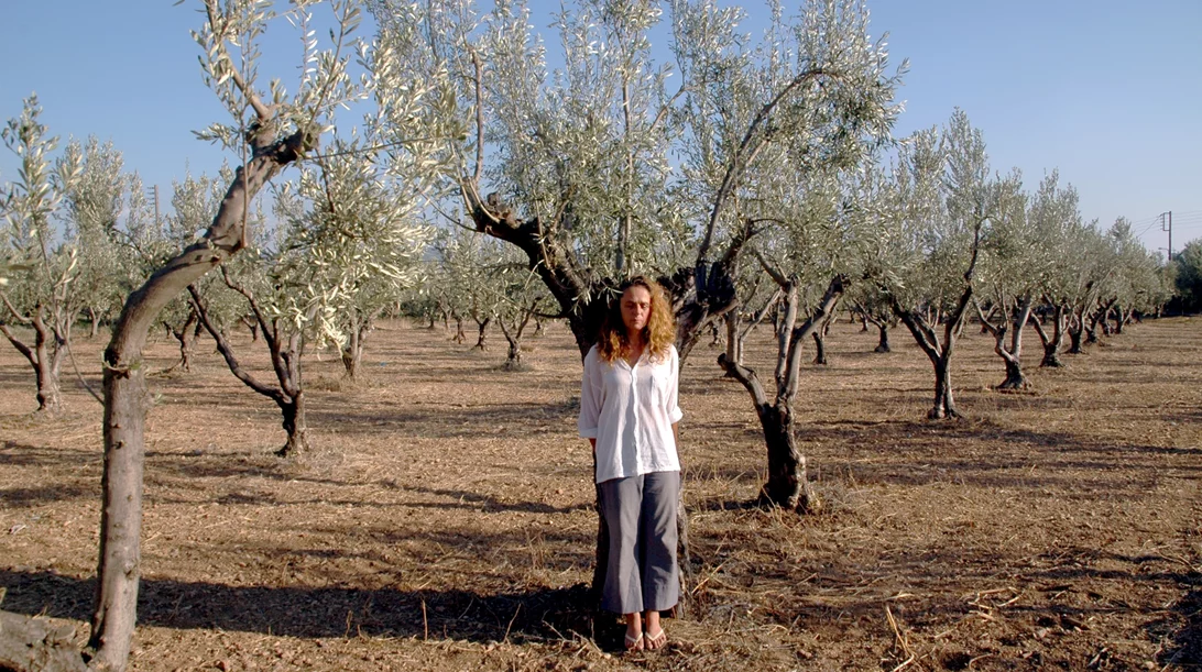 Τροποποιείται η εκδήλωση "Αμολή" της 2023 Ελευσίς λόγω των πυρκαγιών