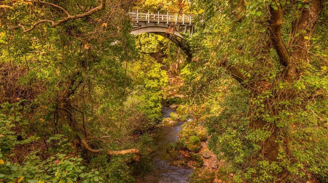 Όλοι οι δρόμοι οδηγούν στο Φαράγγι του Βουραϊκού