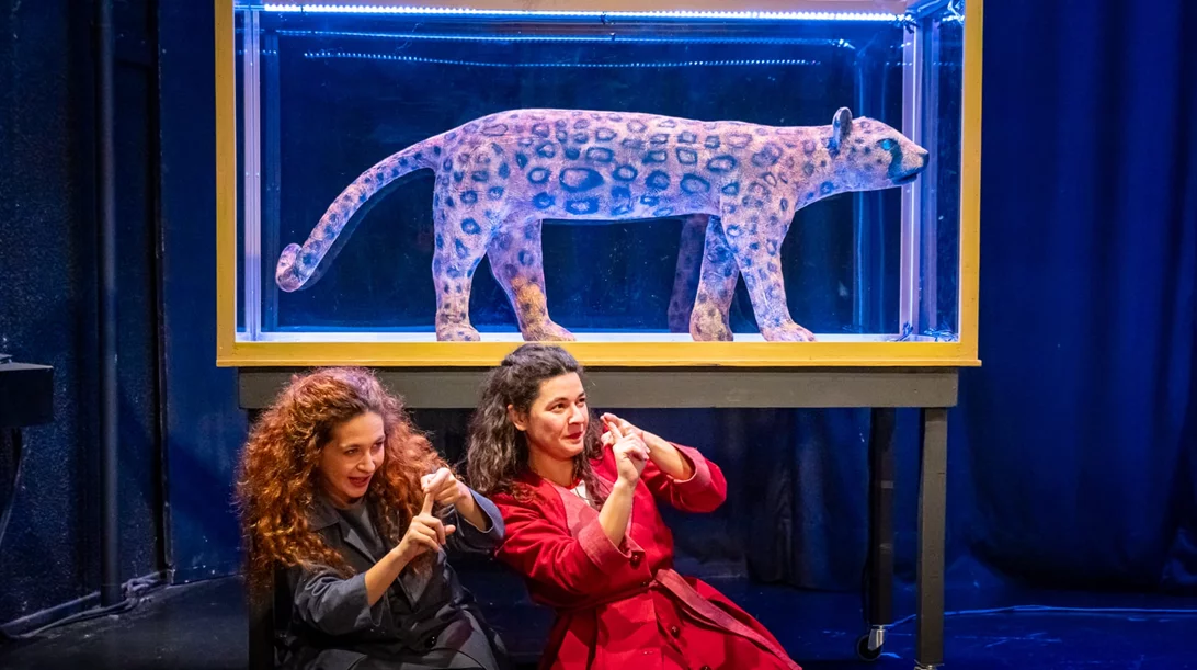 Το "Καπλάνι της βιτρίνας" έρχεται του χρόνου στο "Μιχάλης Κακογιάννης"