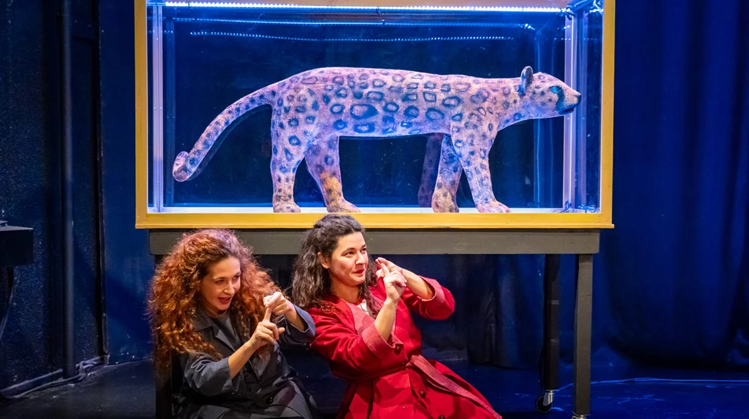 Το "Καπλάνι της βιτρίνας" προσθέτει έξτρα παράσταση