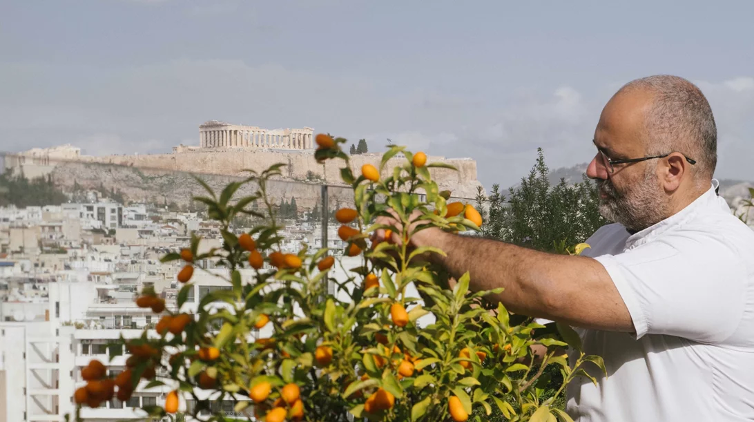 Το 'Amphibian' ανοίγει στη Στέγη από την ομάδα του Soil
