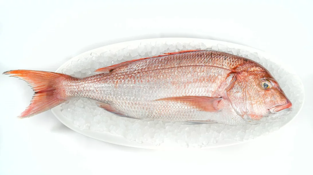 Atelier Papaioannou: Μύρισε θάλασσα στη Στοά Σπυρομήλιου