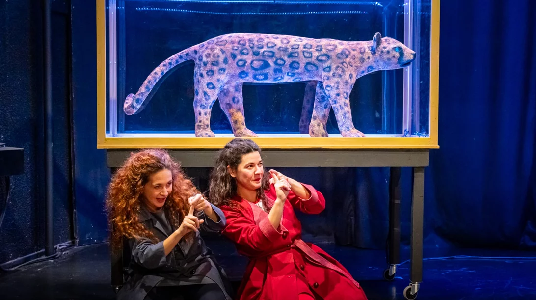 Οκτώ παιδικές παραστάσεις για όλα τα γούστα κάνουν πρεμιέρα