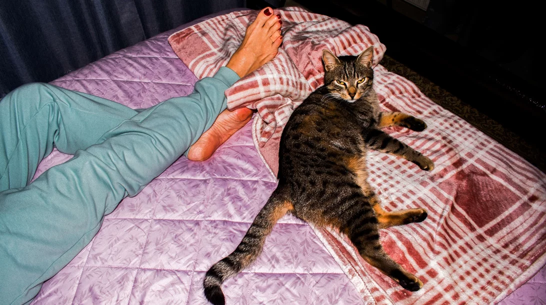 "Soft Walls": Ένα πολυεπίπεδο πρότζεκτ αφιερωμένο στη φωτογραφία