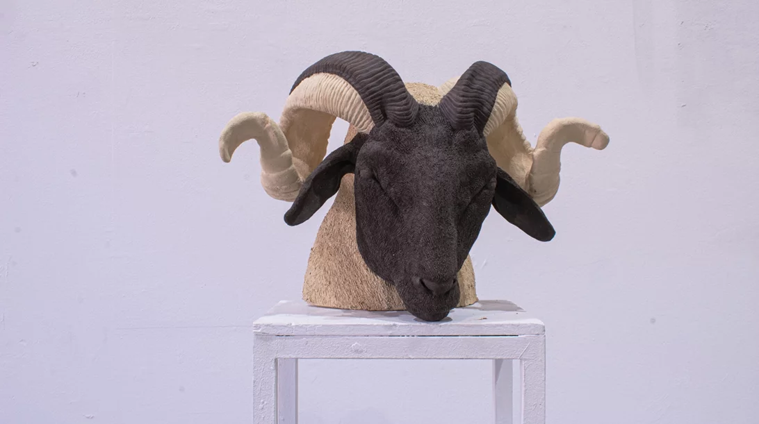 Εγκαίνια: Οι εκθέσεις της εβδομάδας (8-14/5)