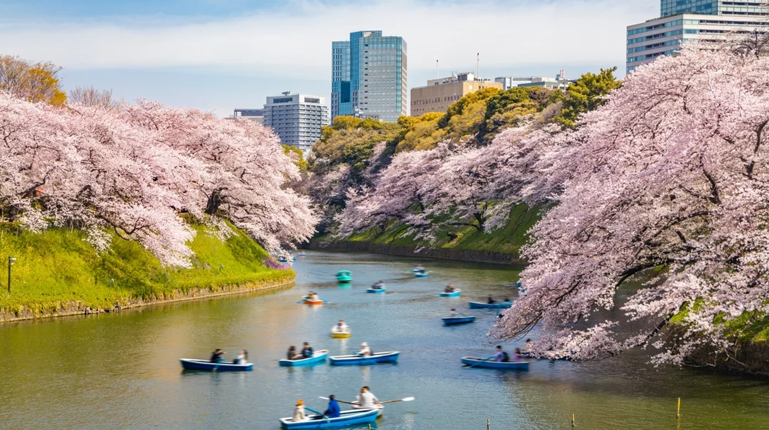 Επόμενη στάση, ανθισμένες κερασιές: Γιατί αξίζει να ταξιδέψεις σε Ιαπωνία και Νότια Κορέα
