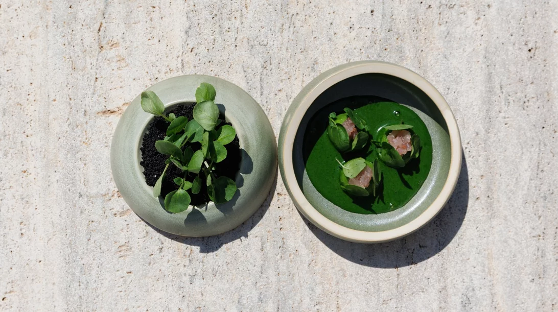 Το 'Pelagos' βάζει Σίφνο, Σαντορίνη και Νάξο στο πιάτο