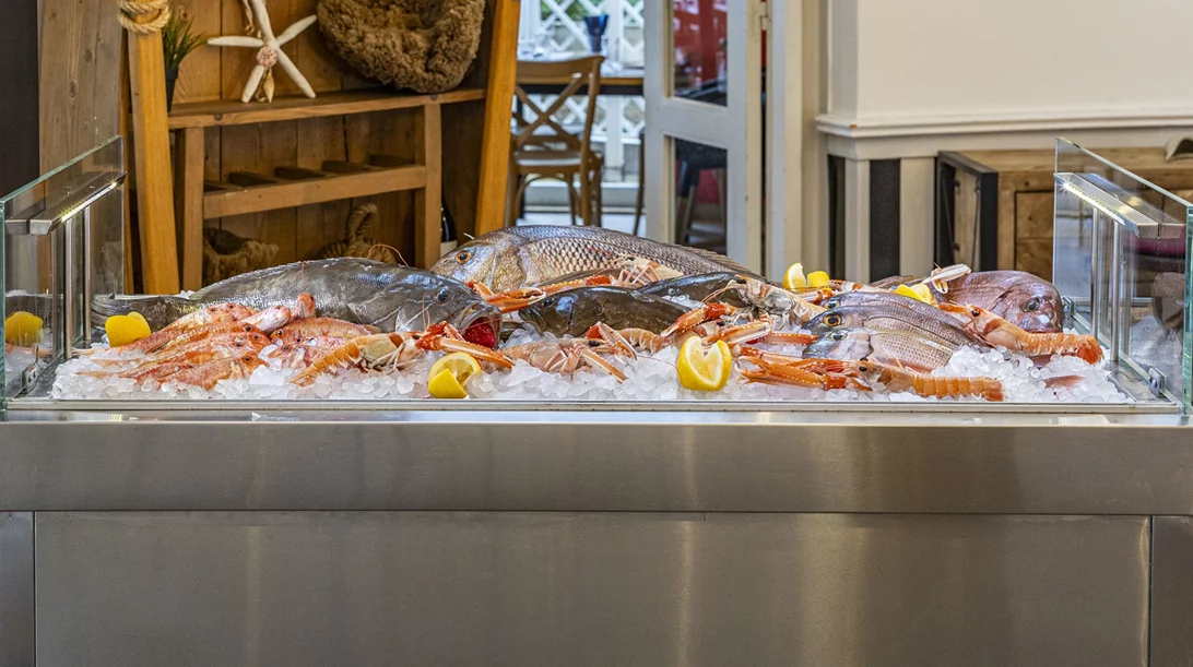 Video walkthrough: Η Ναταλία Δραγούμη απολαμβάνει ολόφρεσκα "Ψαράκια και Θαλασσινά" στη Βάρκιζα