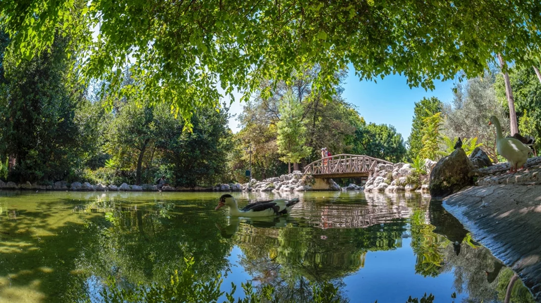 Αγαπημένα σποτ και διαδρομές για βόλτα και πεζοπορία στην πόλη