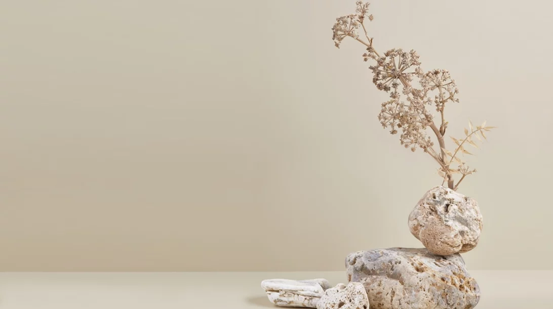 Συνθέσεις της παραδοσιακής τέχνης "IKEBANA" στην Πινακοθήκη Γκίκα