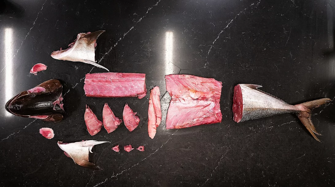 Η επόμενη πίστα του "Βασίλαινας"