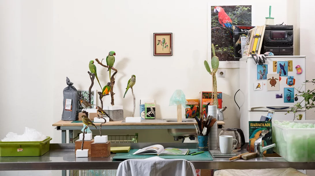 Γιώργος Γεροντίδης: "Η εμπορευματοποίηση της φύσης μάς απομακρύνει από αυτό που ανήκουμε"