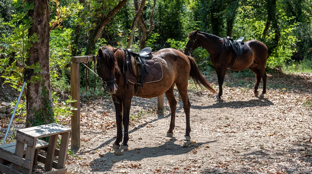 7 ορεινοί προορισμοί στην Ελλάδα για τα πιο τέλεια φθινοπωρινά weekends