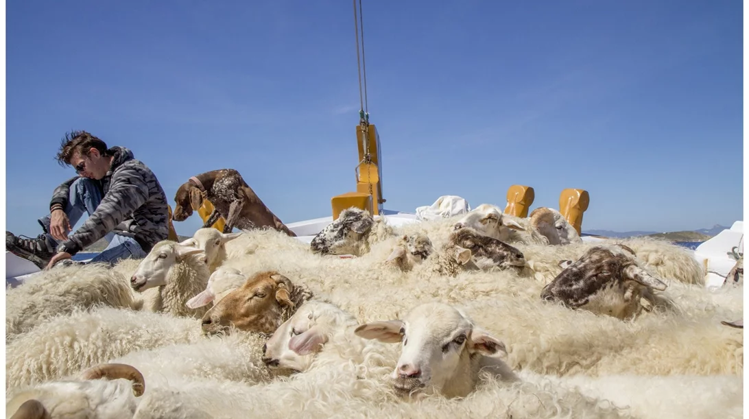 Το 7ο Φεστιβάλ Κινηματογράφου Σαντορίνης βάζει πλώρη για έντονες συγκινήσεις