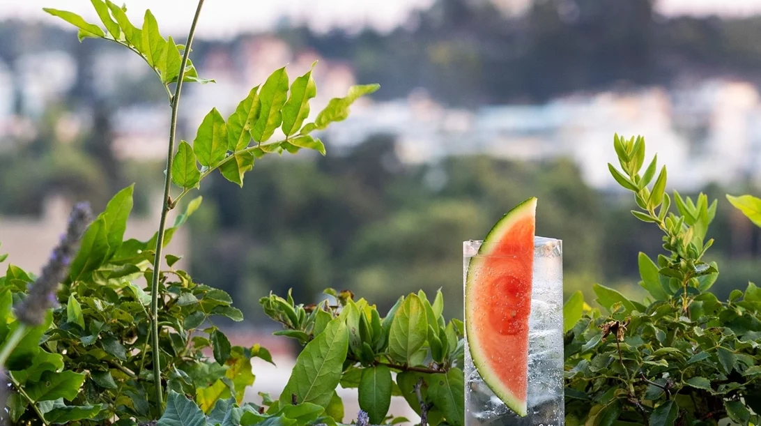 Ο σχεδόν κρυμμένος, 'κρεμαστός' κήπος του Ψυρρή