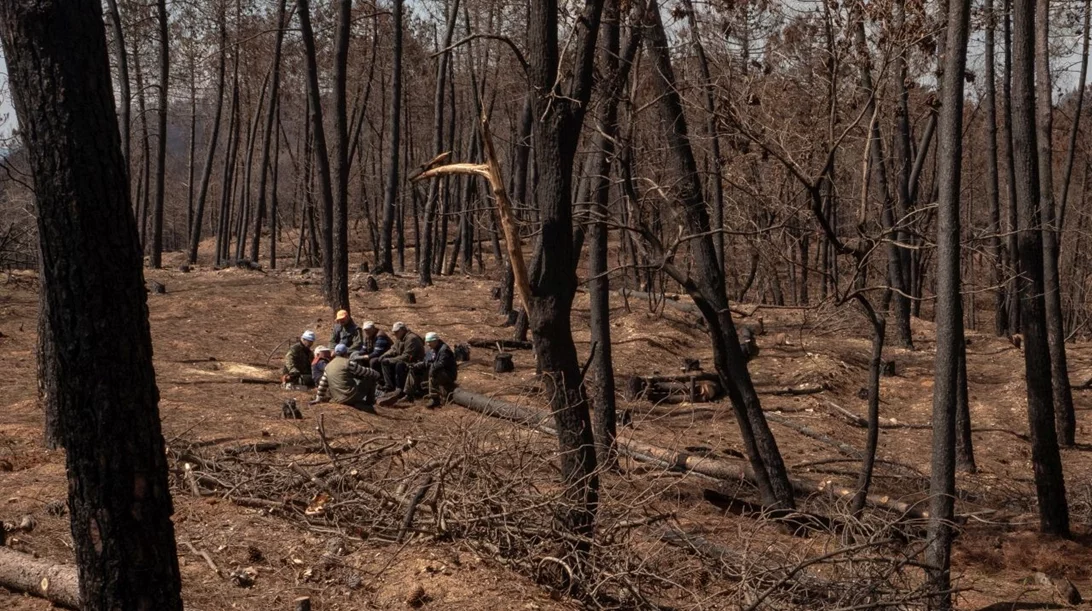 "Beyond Destruction – Ρόδος, Θεσσαλία, Έβρος": Ανθεκτικότητα και ελπίδα μετά τις καταστροφές του 2023