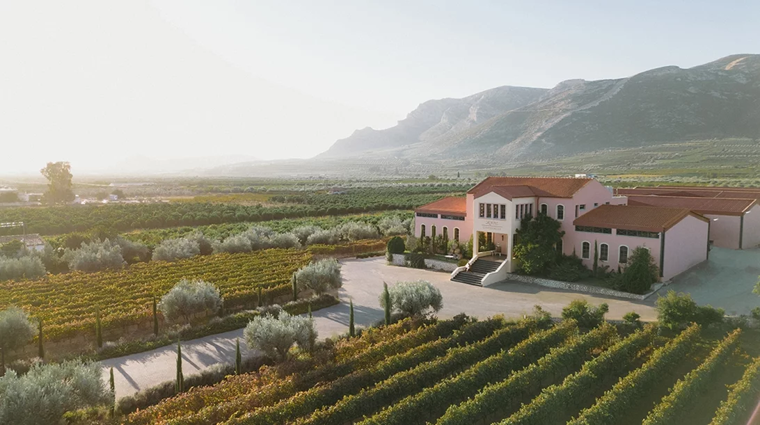 Μουσική, Τέχνη και Γαστρονομία συναντιούνται, συνδέονται και εκφράζονται στο Κτήμα Σκούρα