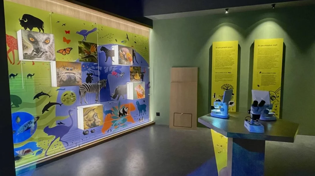 "Βιοποικιλότητα. Όλα συνδέονται": Αυτή είναι η νέα έκθεση του Μουσείου Φυσικής Ιστορίας Γουλανδρή