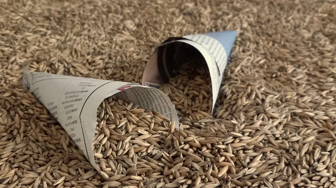 "Ιχνογραφία"¨: Εικαστικοί της ομάδας ΚαλλιέργειαΚαλλιέργεια σκιαγραφούν την πορεία της σύγχρονης ζωής