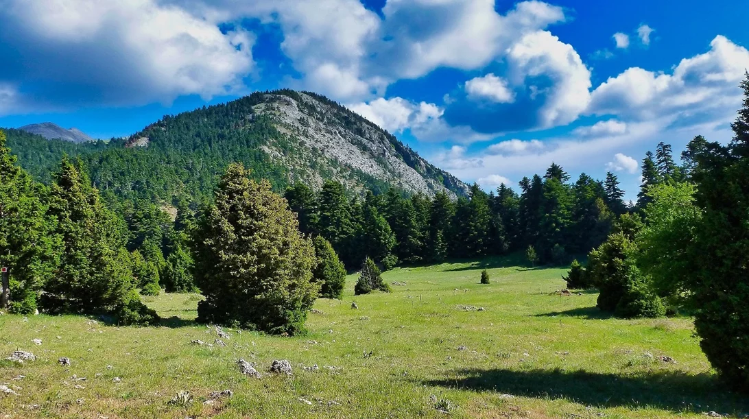 Το 1ο "Γλυπία αγάπη μου!" έχει Θανάση Παπακωνσταντίνου, Αργύρη Μπακιρτζή και Μάρθα Φριντζήλα