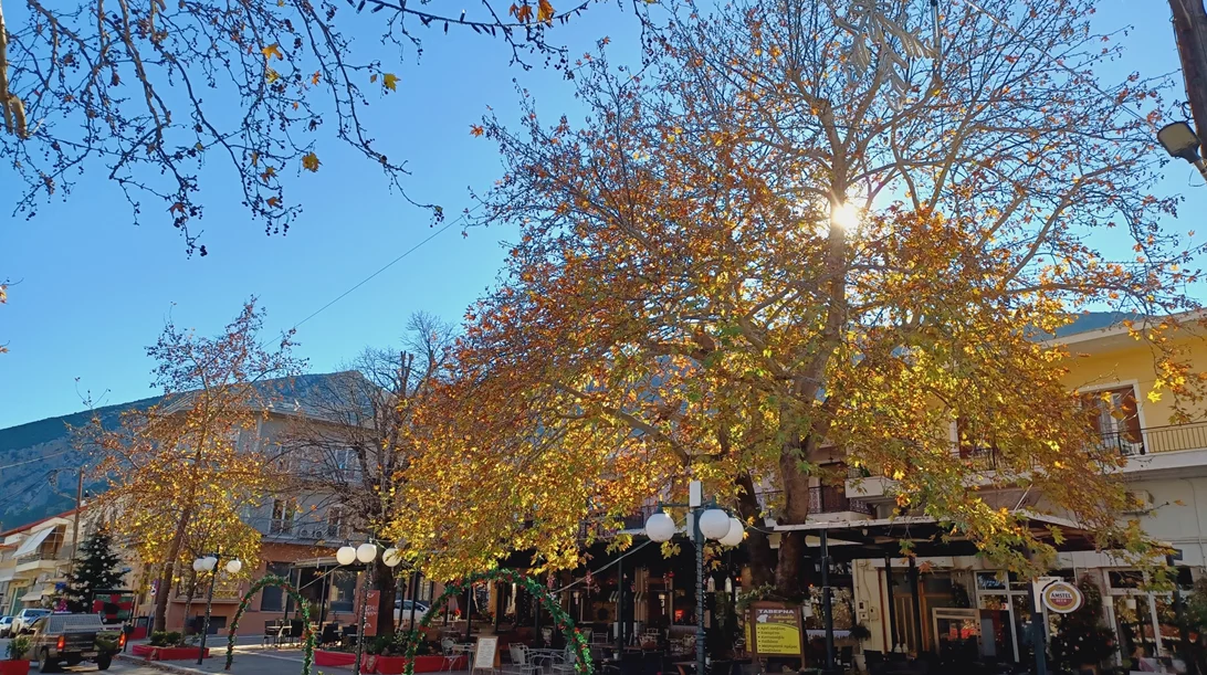 48 ώρες σε Αμφίκλεια και Τιθορέα – Τι γεύση έχει ο "άλλος Παρνασσός";